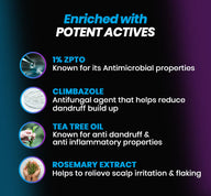 Pack of 2 ANTI DANDRUFF SHAMPOO - Tugain Essentials 