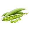 Anagain 4%, hair growth active that stimulates new growth and reduces shedding